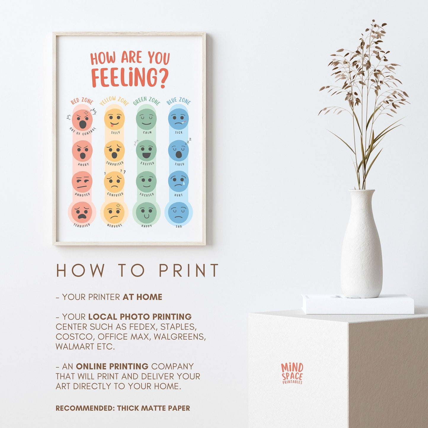 Zones of Regulation Poster