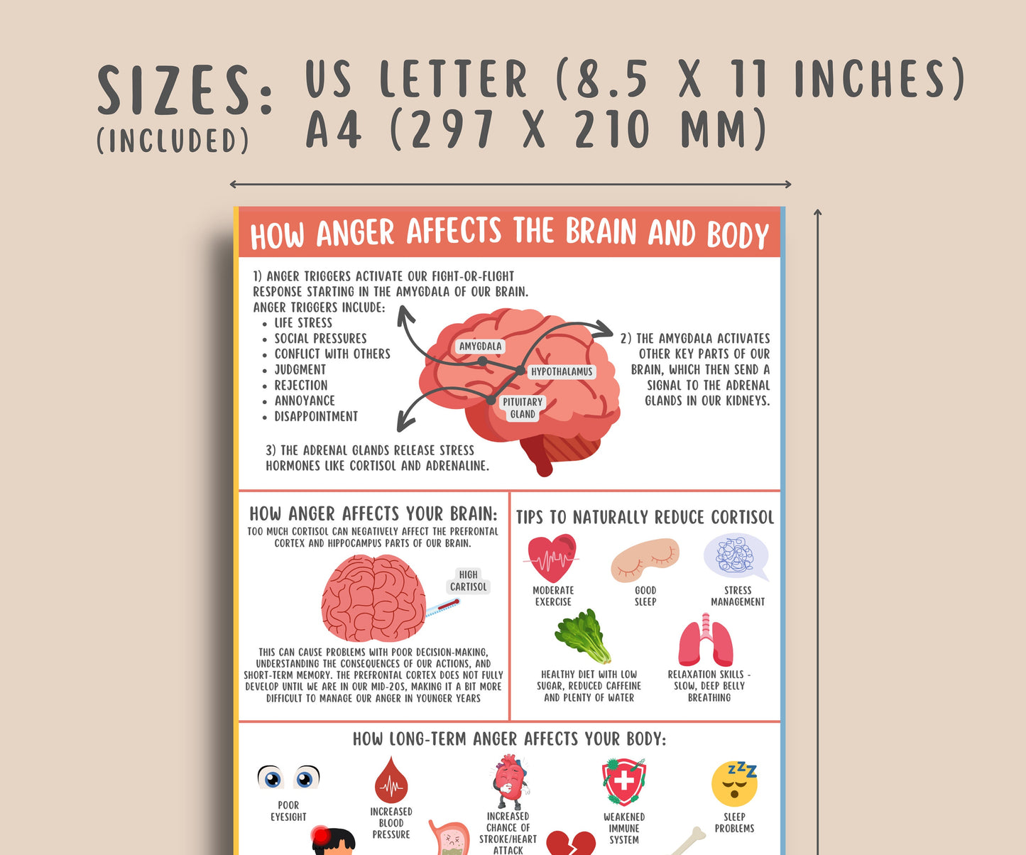 Anger Affects on Brain & Body Handout for Kids & Teens