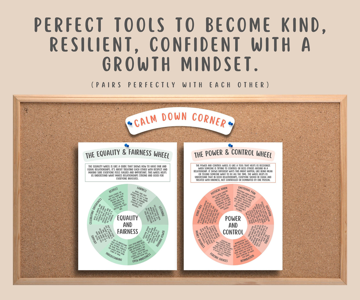 Equality vs Power and Control Wheel Posters