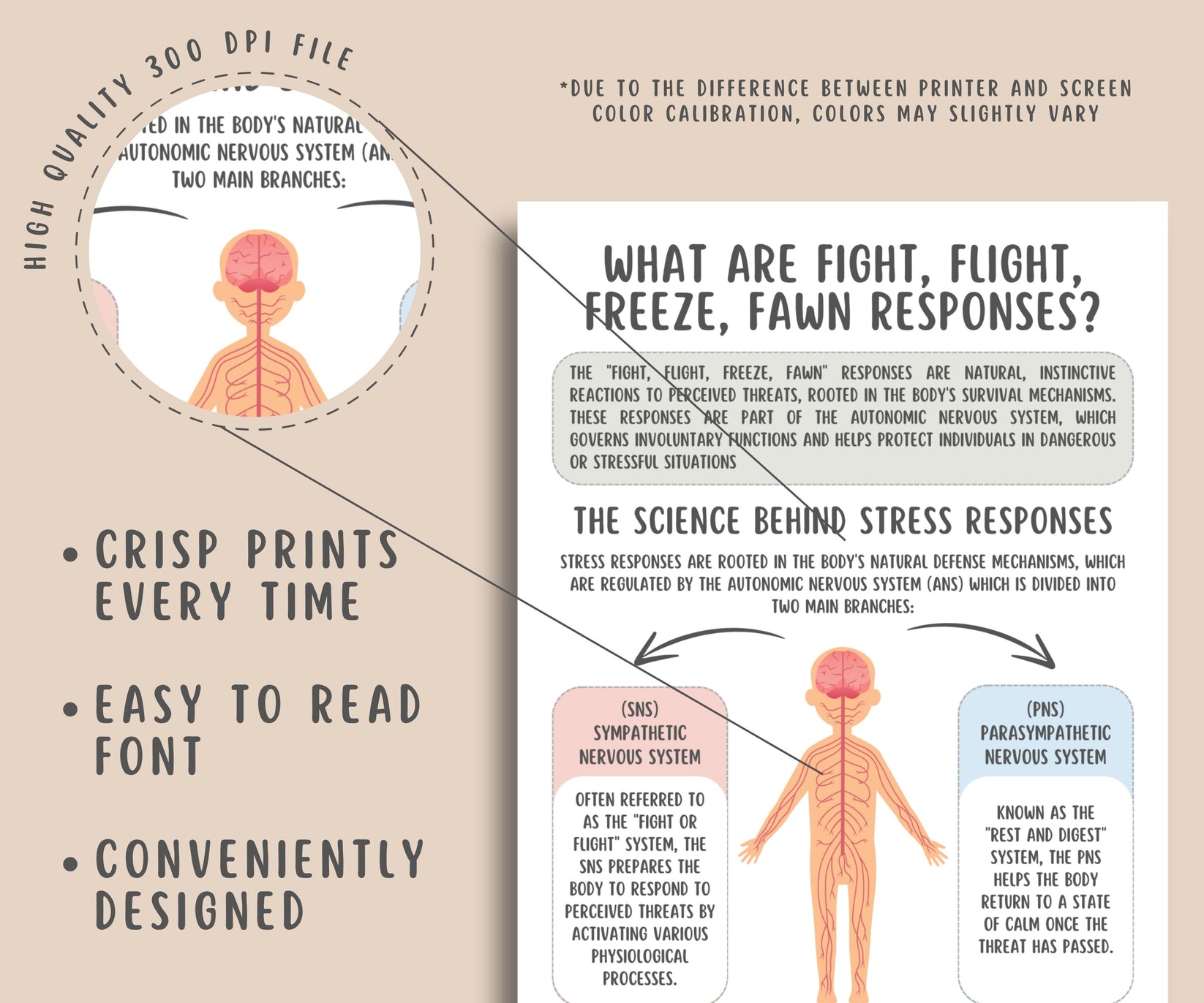 Fight, Flight, Freeze, Fawn Trauma Responses Worksheets ...