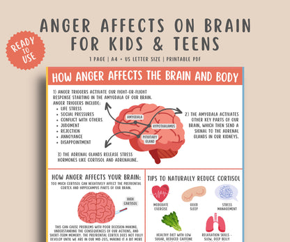 Anger Affects on Brain & Body Handout for Kids & Teens