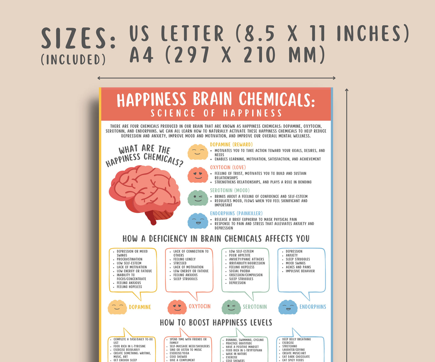 Happiness Brain Chemicals Handout