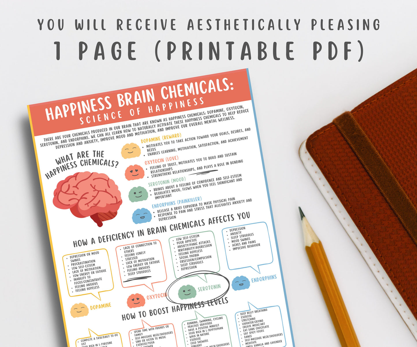 Happiness Brain Chemicals Handout