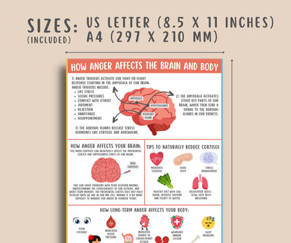 Anger Affects on Brain & Body Handout for Kids & Teens