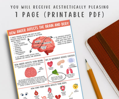Anger Affects on Brain & Body Handout for Kids & Teens