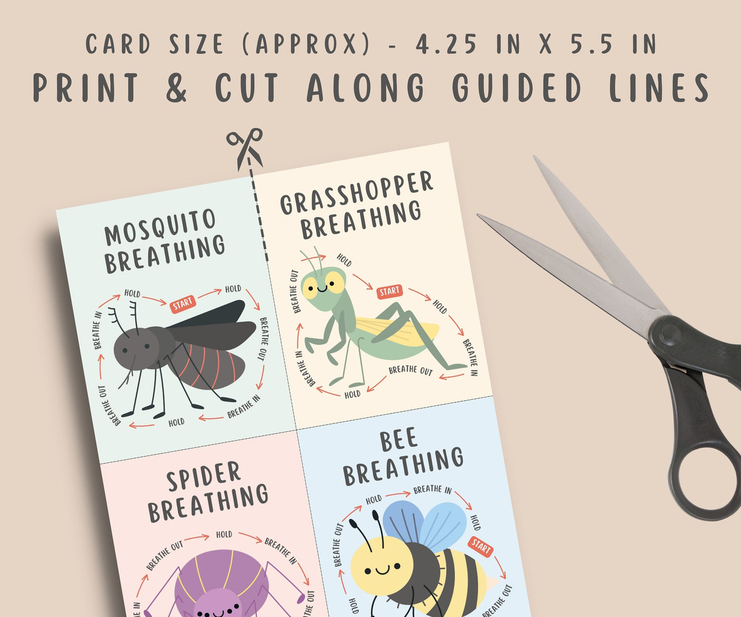 12 Insects Mindful Breathing Flashcards