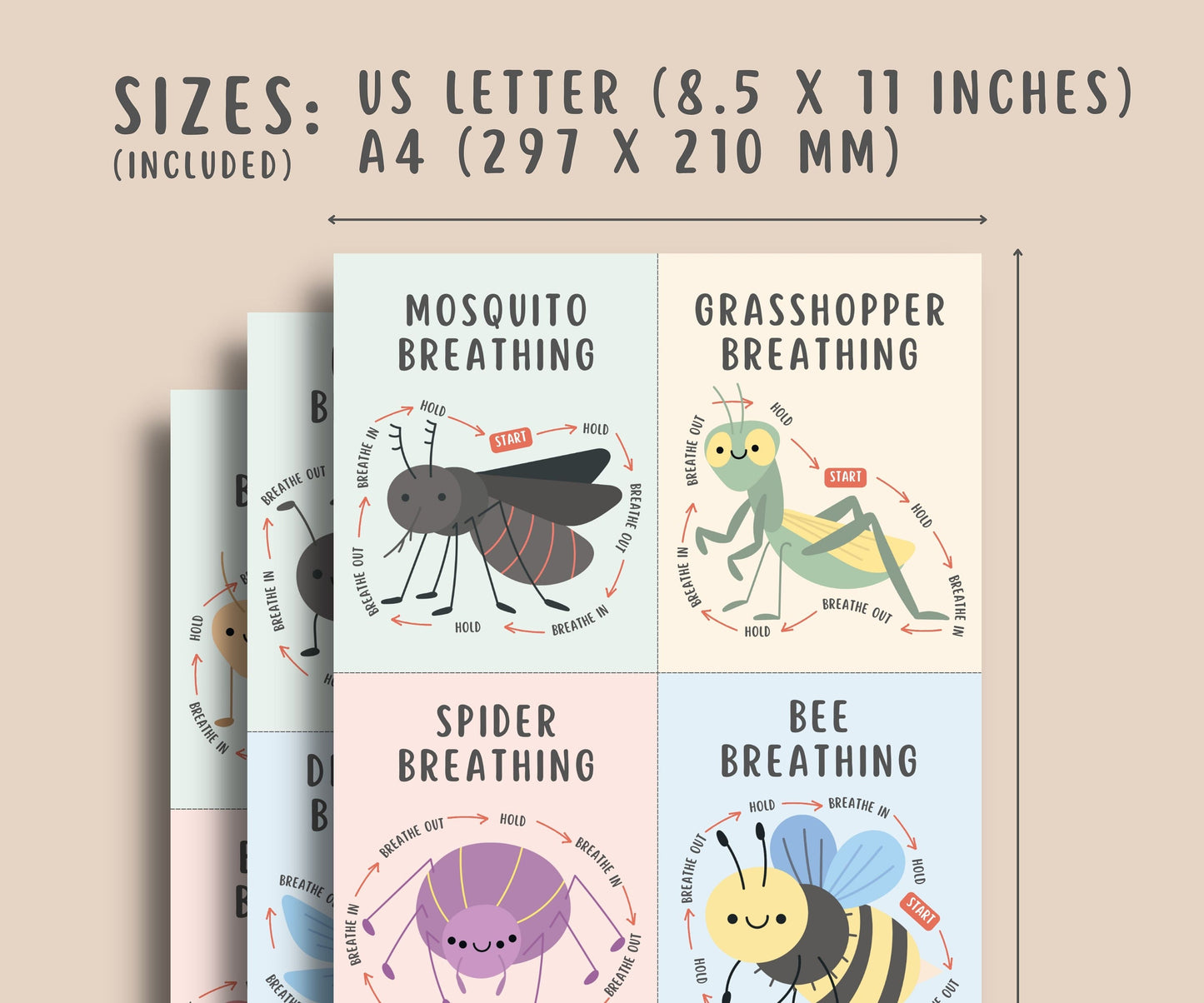 12 Insects Mindful Breathing Flashcards