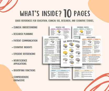 The Brain Regions Info Sheets