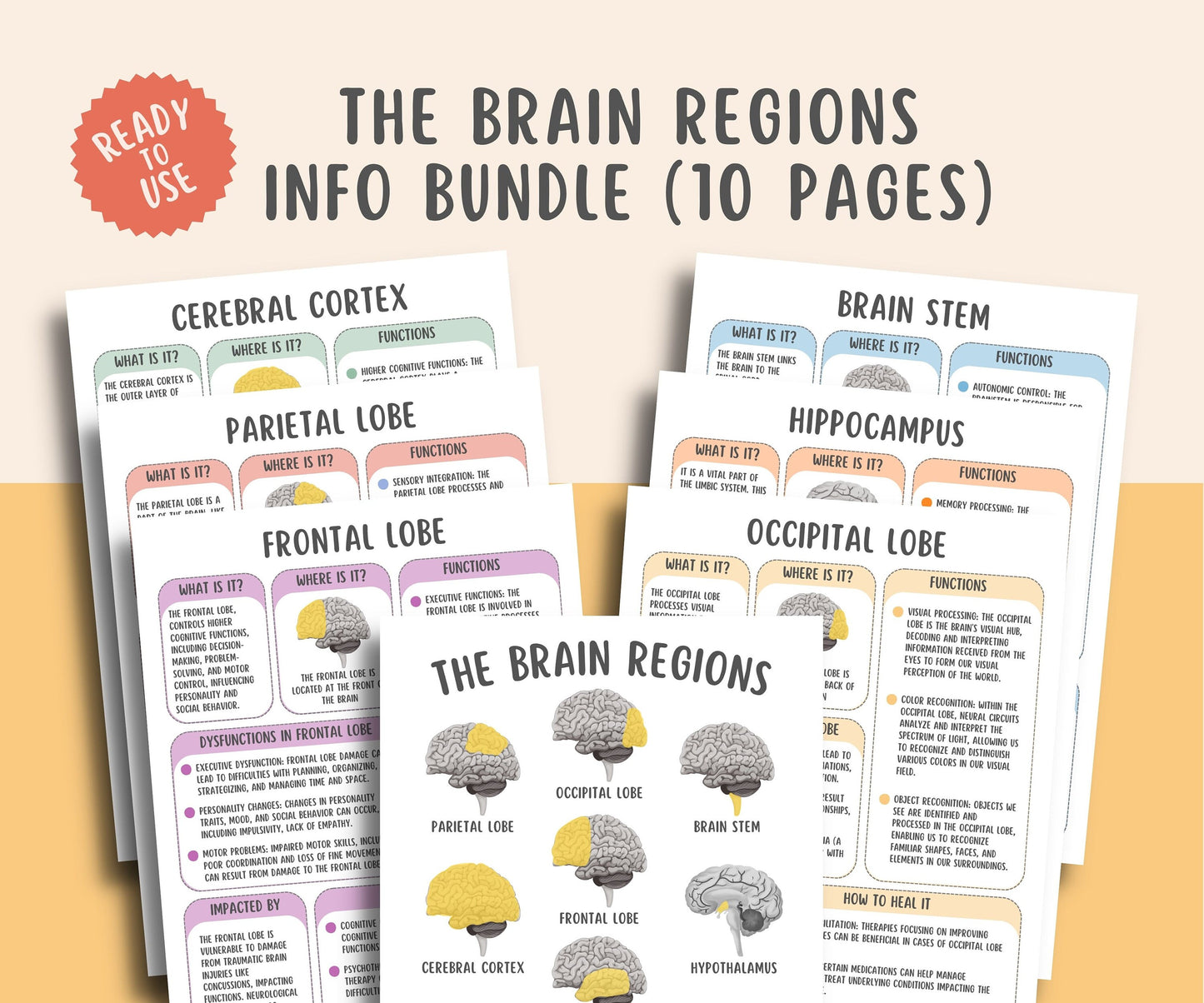 The Brain Regions Info Sheets