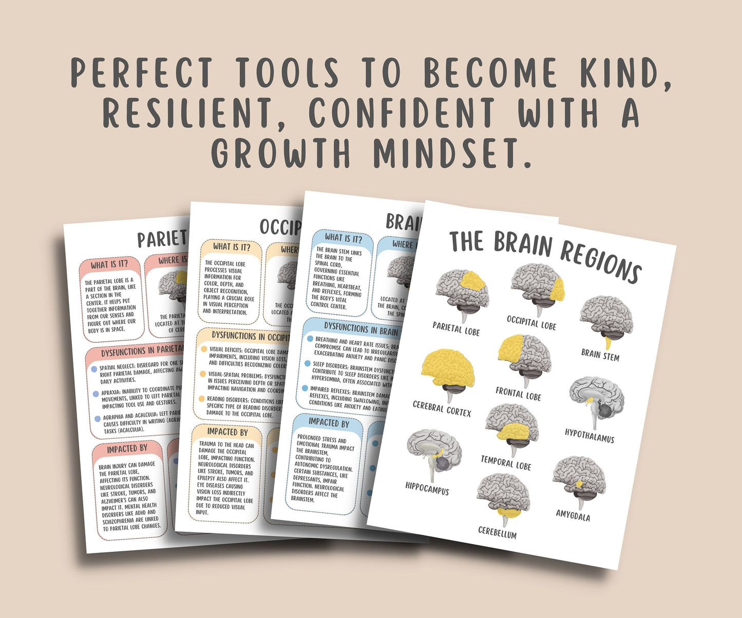 The Brain Regions Info Sheets