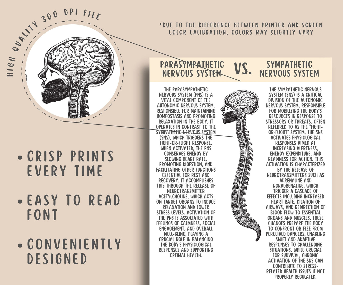 Polyvagal Theory Cheatsheet Worksheets